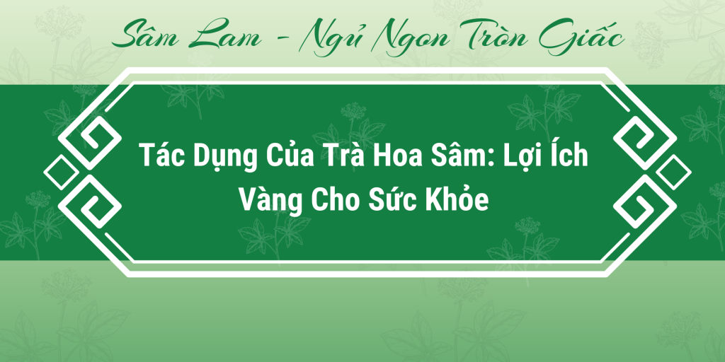 Tác dụng của trà hoa sâm và lợi ích vàng cho sức khỏe