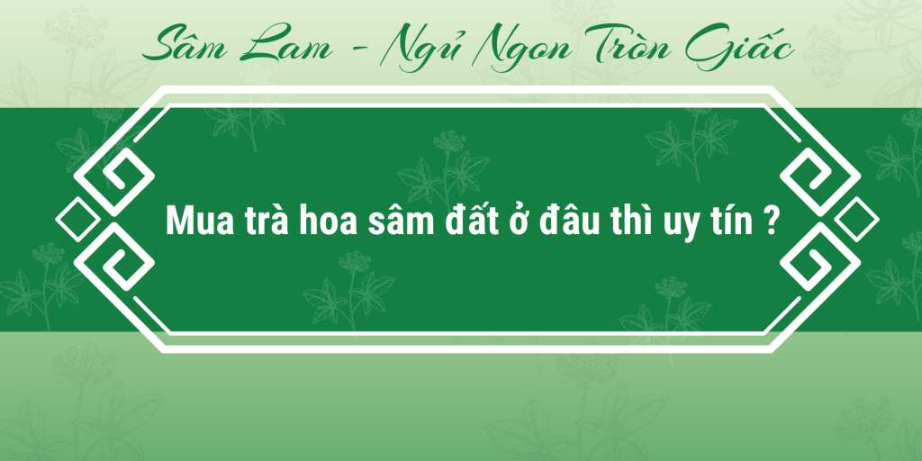Mua trà hoa sâm ở đâu thì uy tín