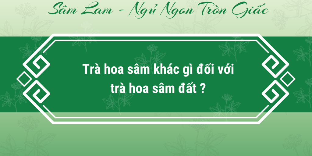 Trà hoa sâm khác gì so với trà hoa sâm đất