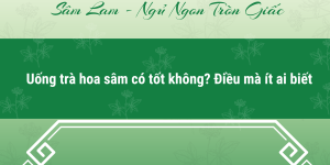 Uống trà hoa sâm có tốt không? Điều mà ít ai biết