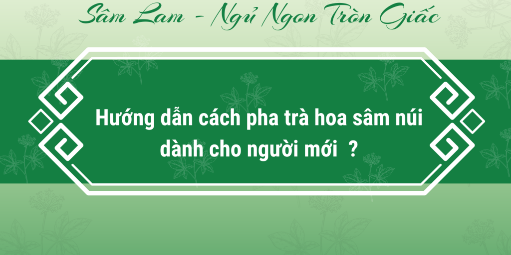 Hướng đẫn cách pha trà hoa sâm đúng cách