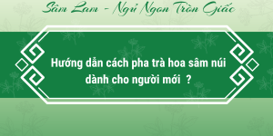 Hướng đẫn cách pha trà hoa sâm đúng cách