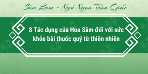 8 Tác dụng của Hoa Sâm đối với sức khỏe bài thuốc quý từ thiên nhiên