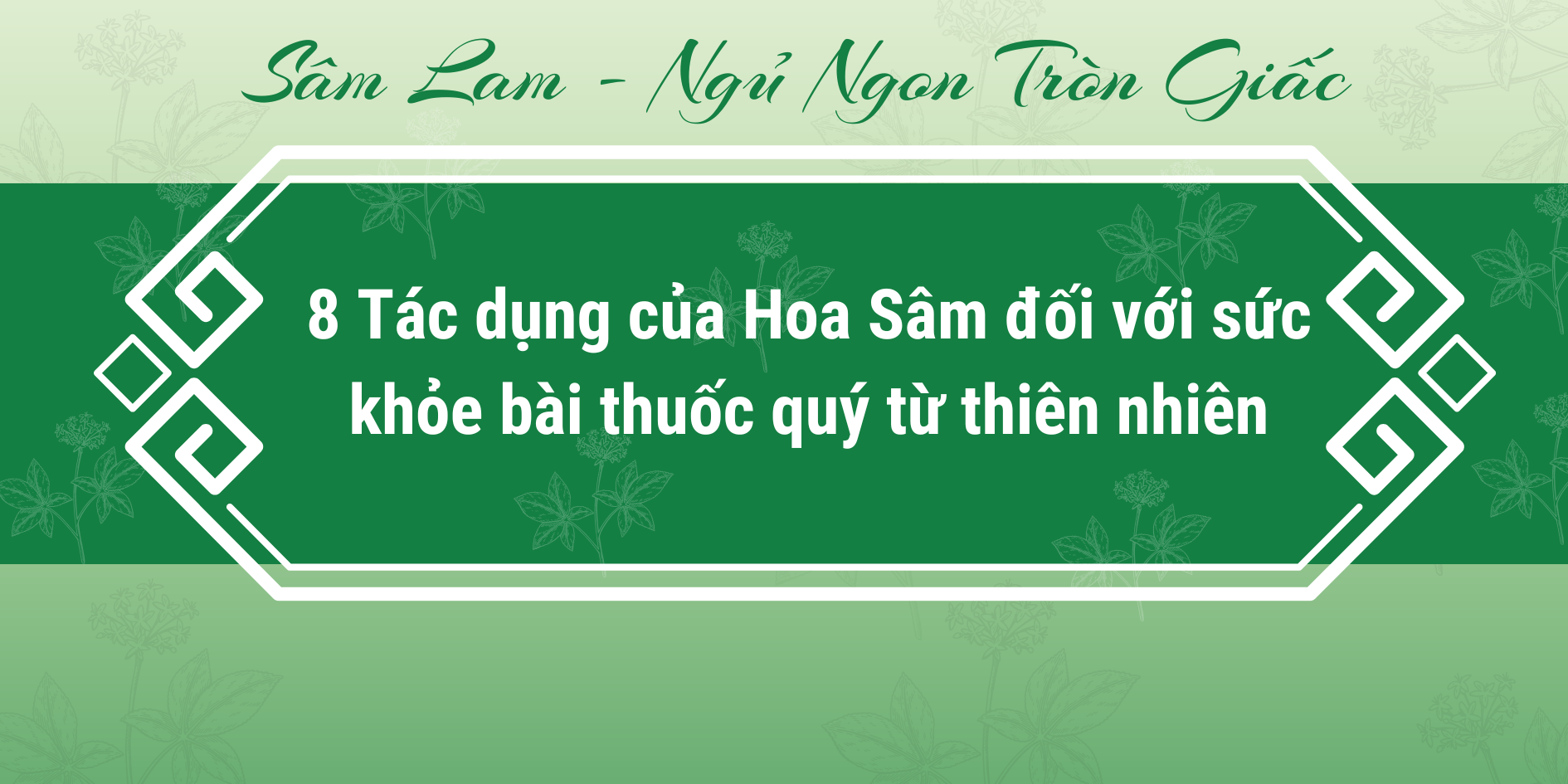 8 Tác dụng của Hoa Sâm đối với sức khỏe bài thuốc quý từ thiên nhiên