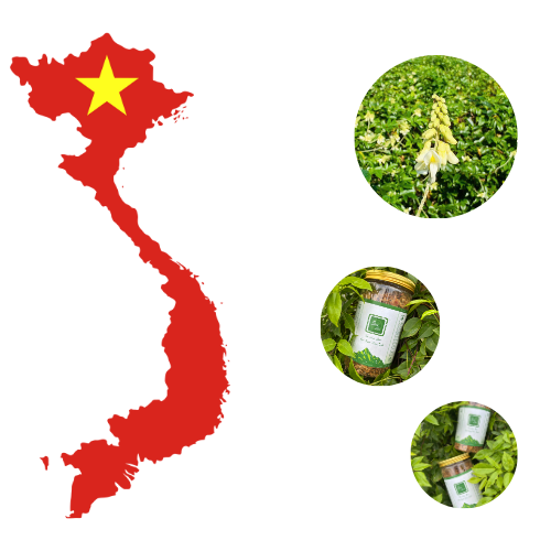 Hanh Trinh Lan Toa Tra Hoa Sam Den Khap Moi Mien To Quoc 1