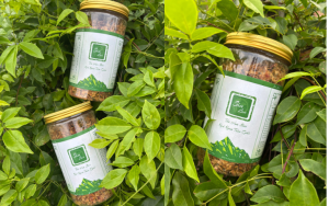 Sản phẩm trà hoa sâm