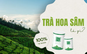 Tìm hiểu về trà hoa sâm