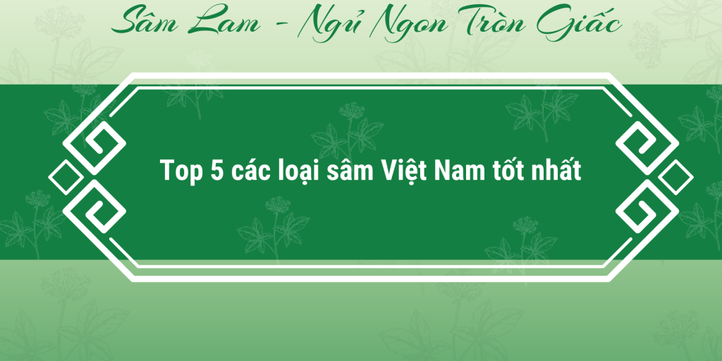 Các loại sâm Việt Nam