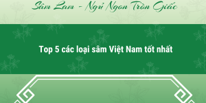 Top 5 các loại sâm Việt Nam tốt nhất