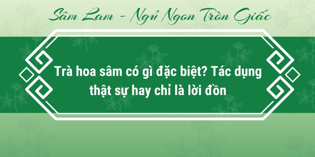 Trà hoa sâm có gì đặc biệt? Tác dụng thật sự hay chỉ là lời đồn