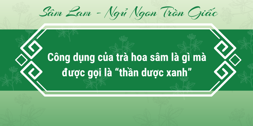 Công dụng của trà hoa sâm là gì mà được gọi là “thần dược xanh”