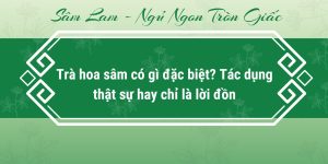Trà hoa sâm có gì đặc biệt? Tác dụng thật sự hay chỉ là lời đồn