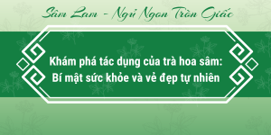 Khám phá tác dụng của trà hoa sâm: Bí mật sức khỏe và vẻ đẹp tự nhiên