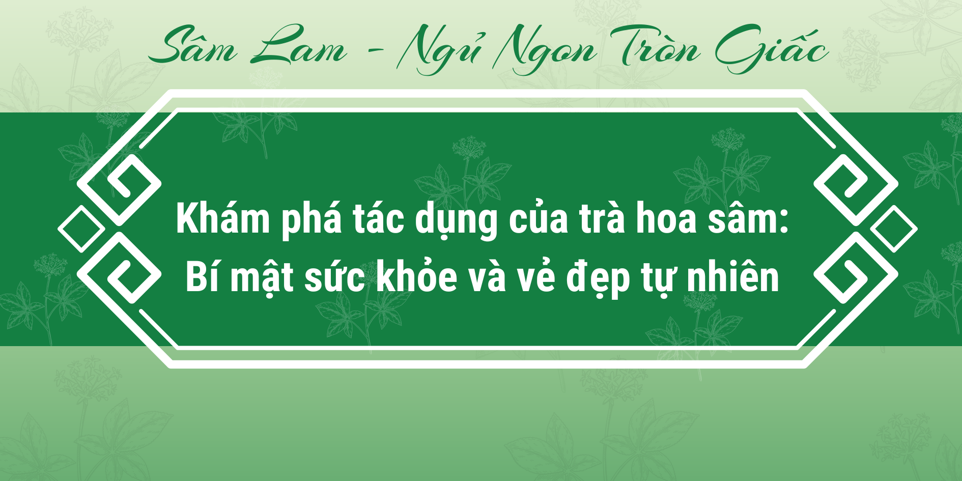 Khám phá tác dụng của trà hoa sâm: Bí mật sức khỏe và vẻ đẹp tự nhiên