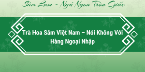Trà hoa sâm Việt Nam