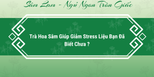 Trà Hoa Sâm Giúp Giảm Stress Liệu Bạn Đã Biết Chưa ?