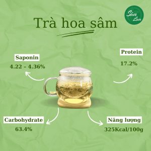 5 lý do để trà hoa sâm giúp dễ ngủ có thể bạn chưa biết? Trà hoa sâm giúp dễ ngủ