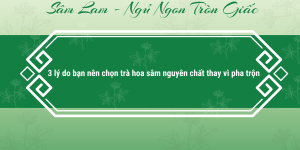 Trang chủ Trà hoa sâm nguyên chất