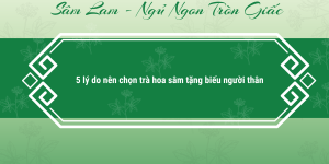 Trang chủ Trà hoa sâm tặng biếu