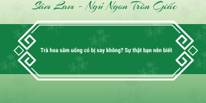 Trà hoa sâm uống có bị say không