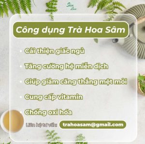 tra-hoa-sam-dieu-tri-mat-ngu