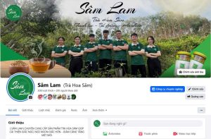 Trà hoa sâm Việt Nam