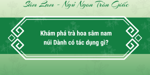 Khám phá trà hoa sâm nam núi Dành có tác dụng gì?