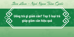 uong-tra-gi-giam-can
